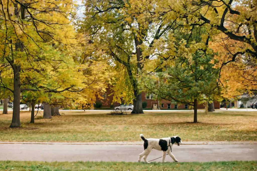 oct242025 1a3a0008 1